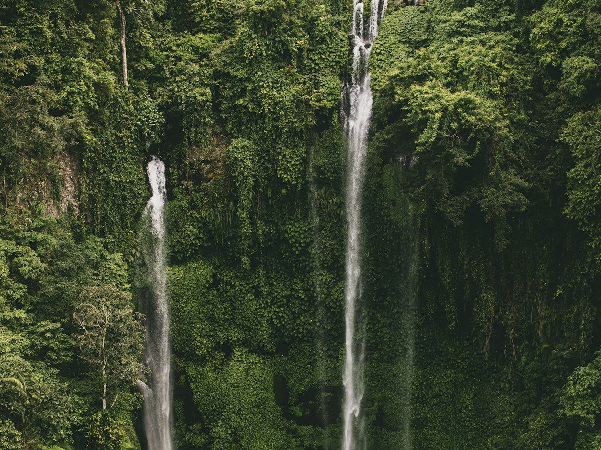 Sekumpul Waterfall surrounded by lush tropical greenery in Bali.